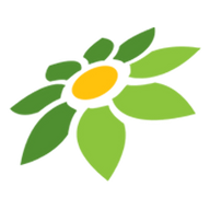 LINK BONSAIBOLA